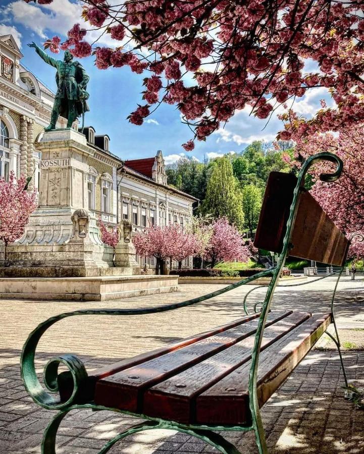 Mp Center Maganszallas Miskolc Ngoại thất bức ảnh